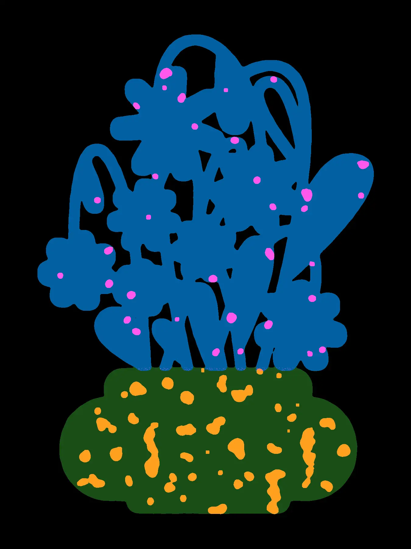 Plant