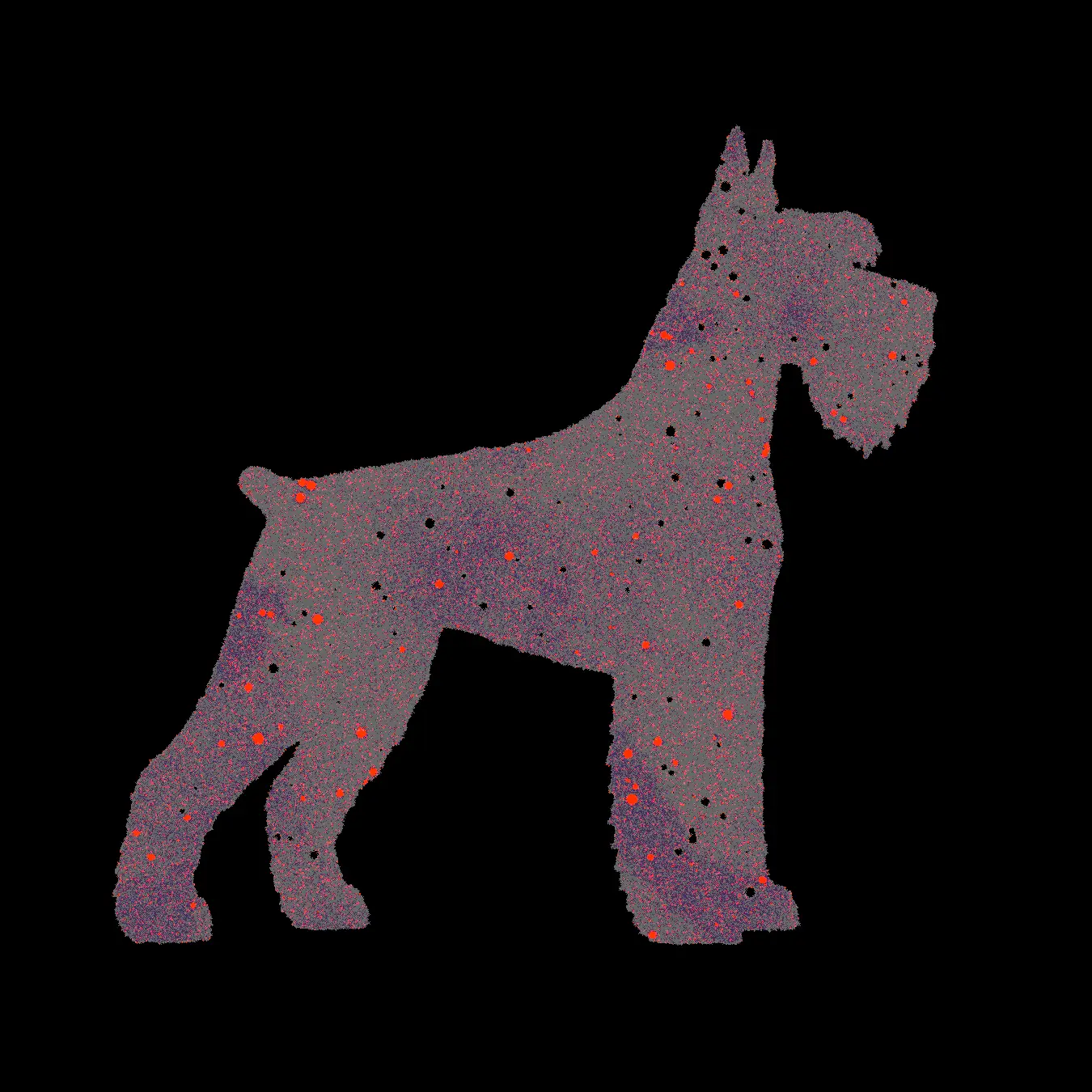 Riesenschnauzer