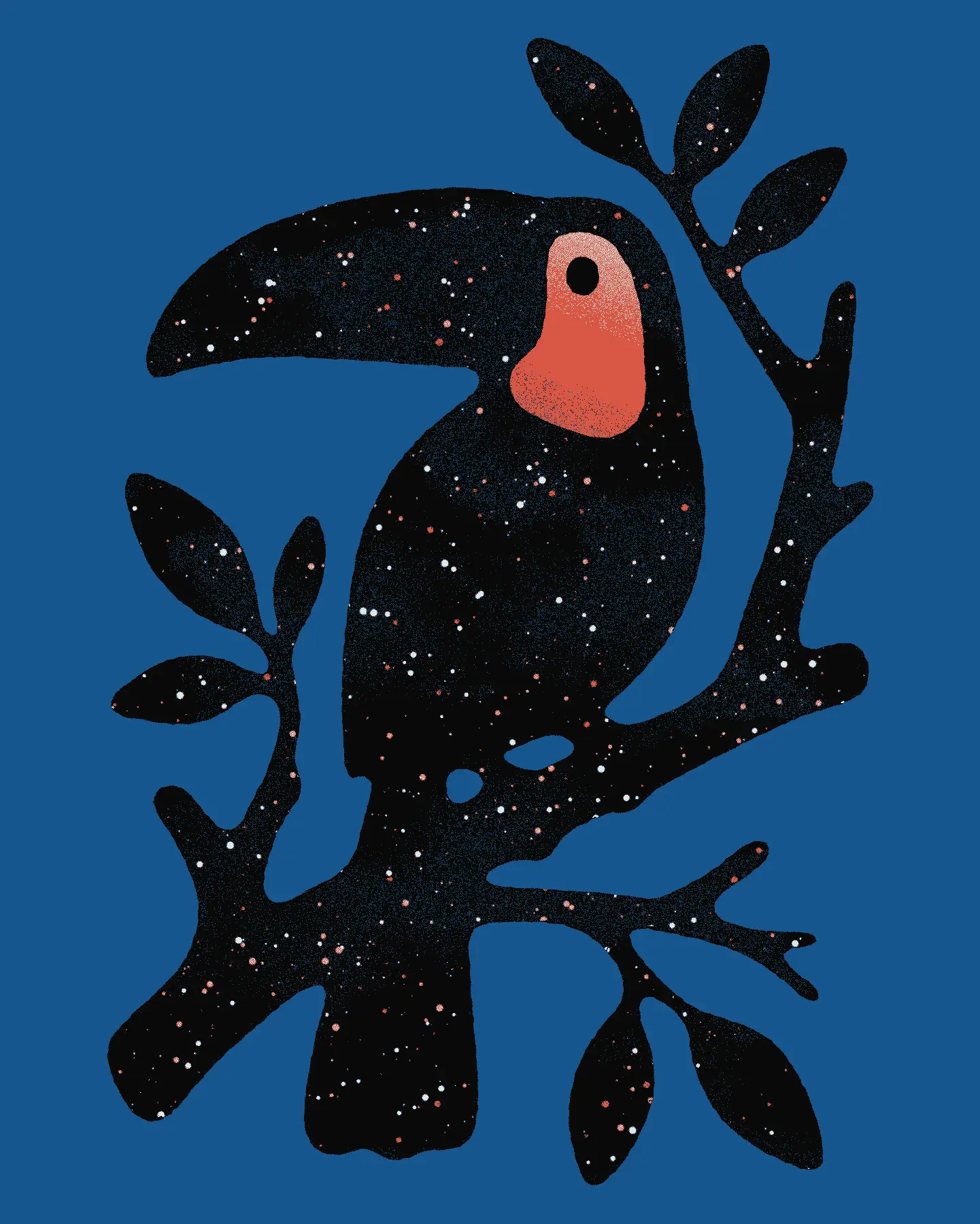 Toucan
