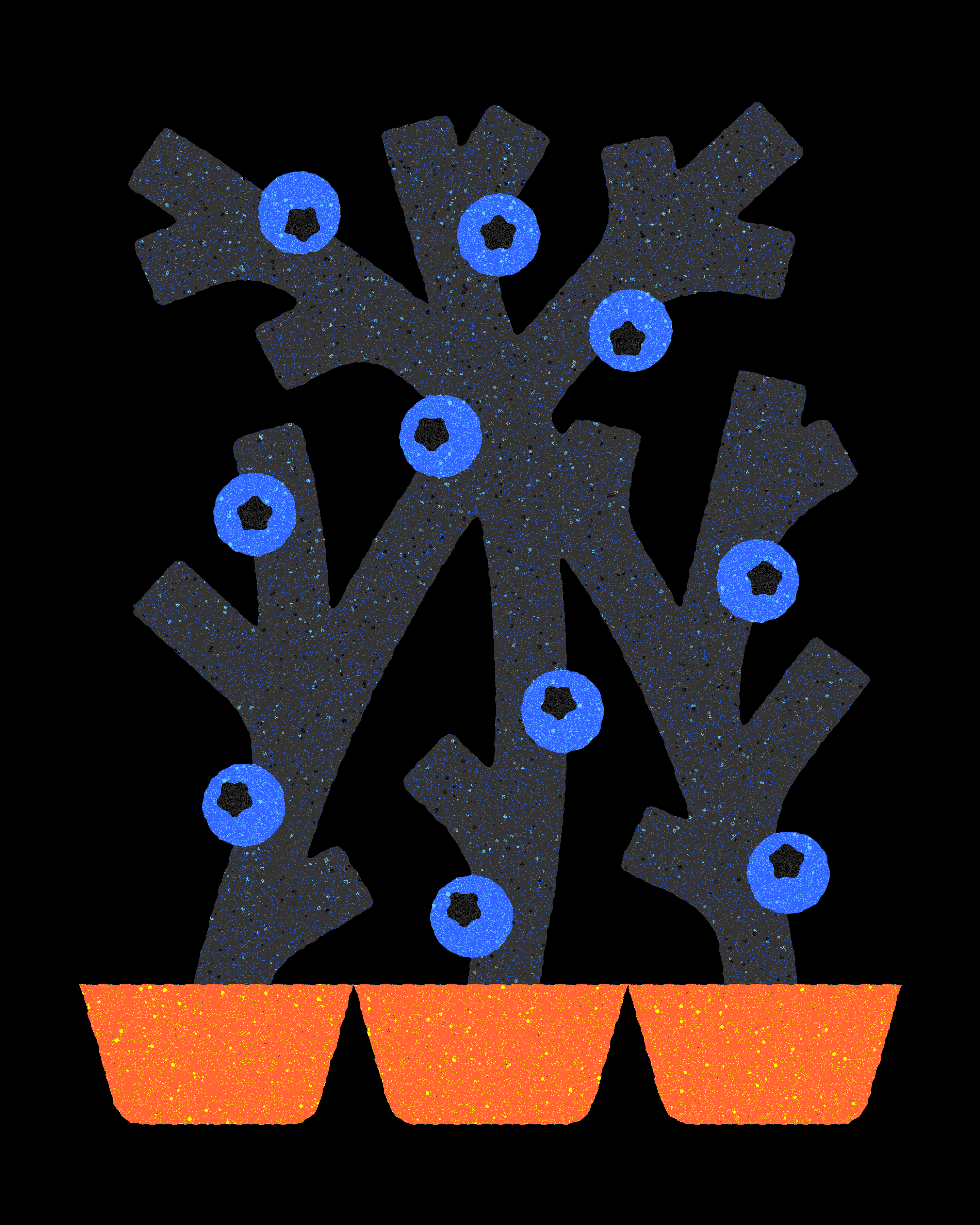 Berries