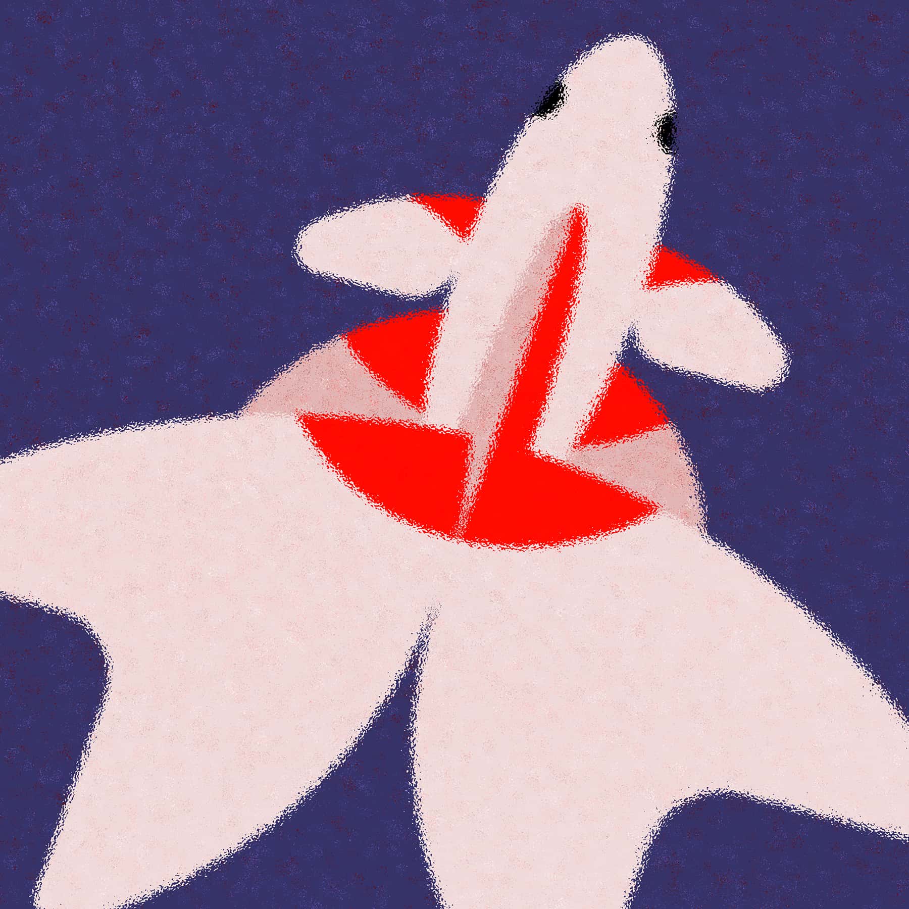 Koi