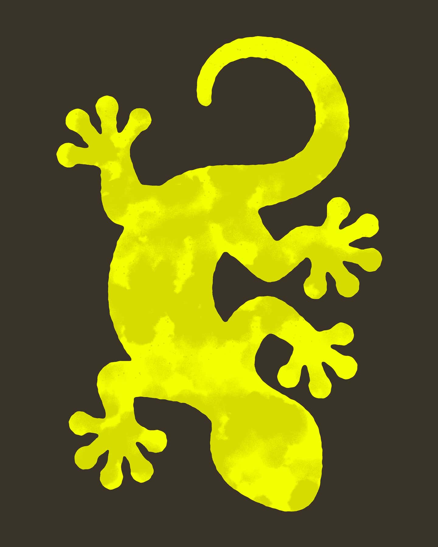 Lizard