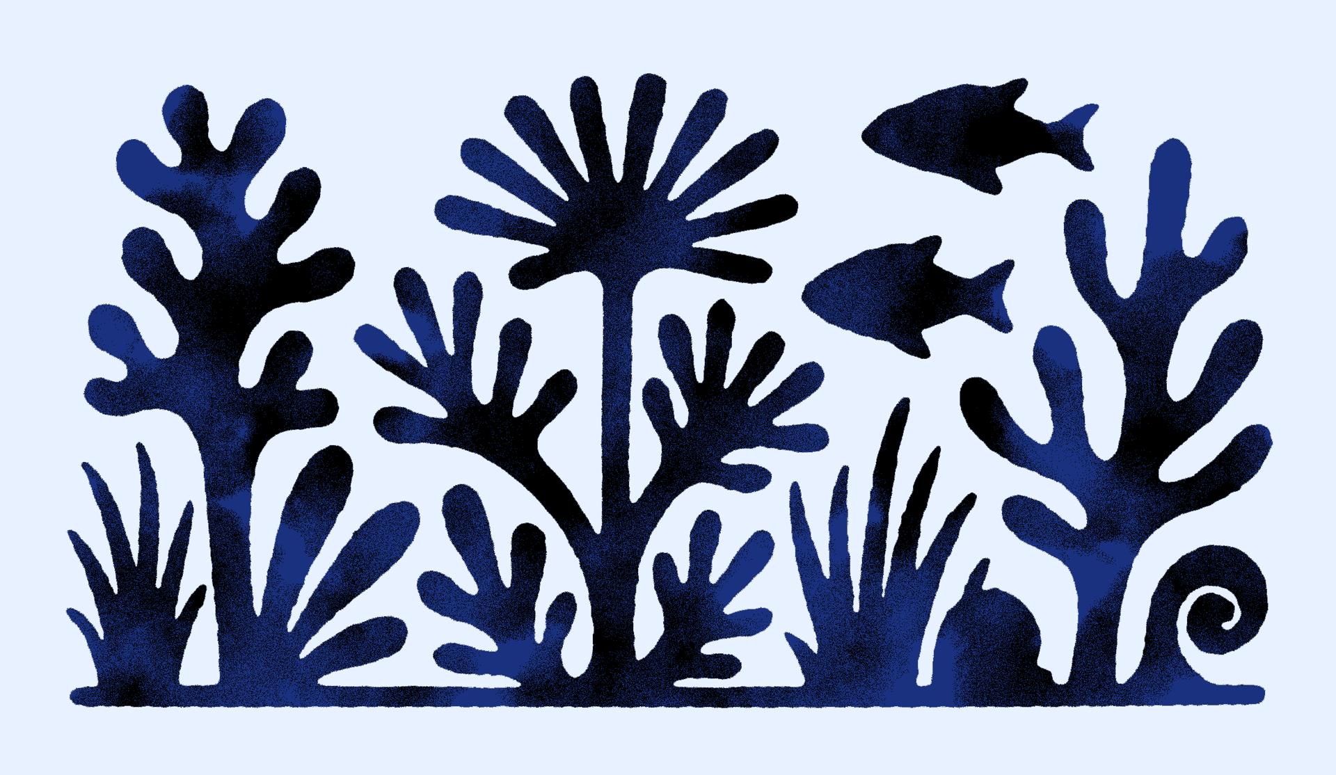 Ocean