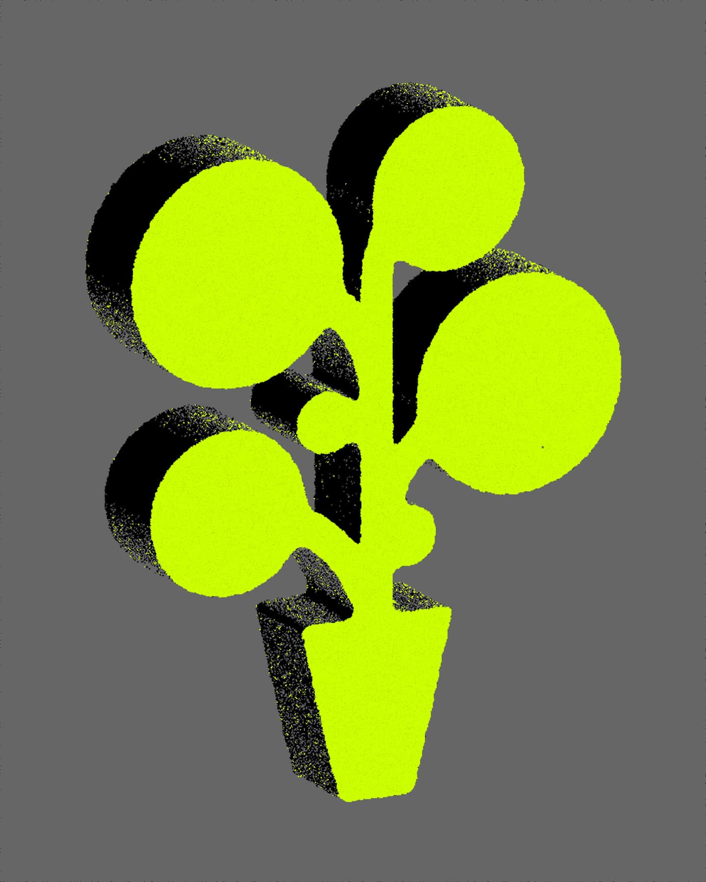Plant