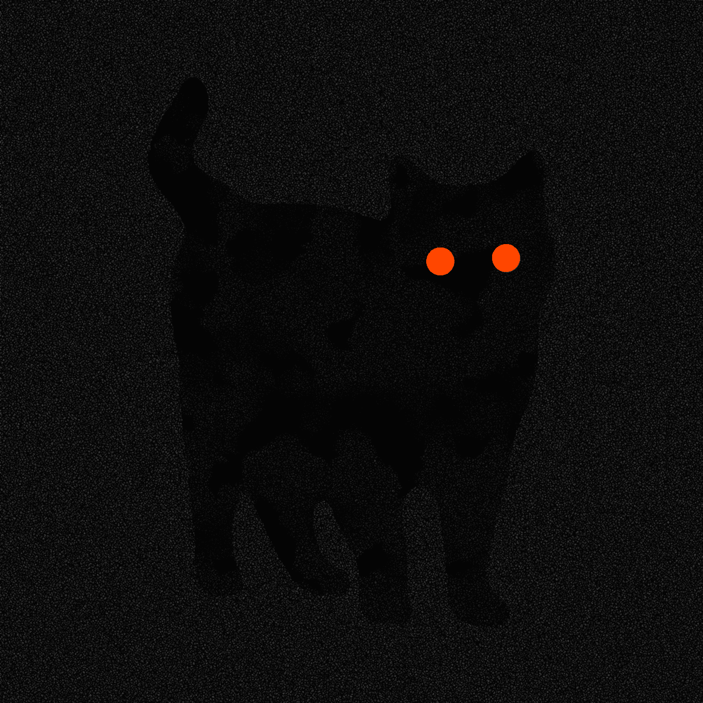 There Is No Cat