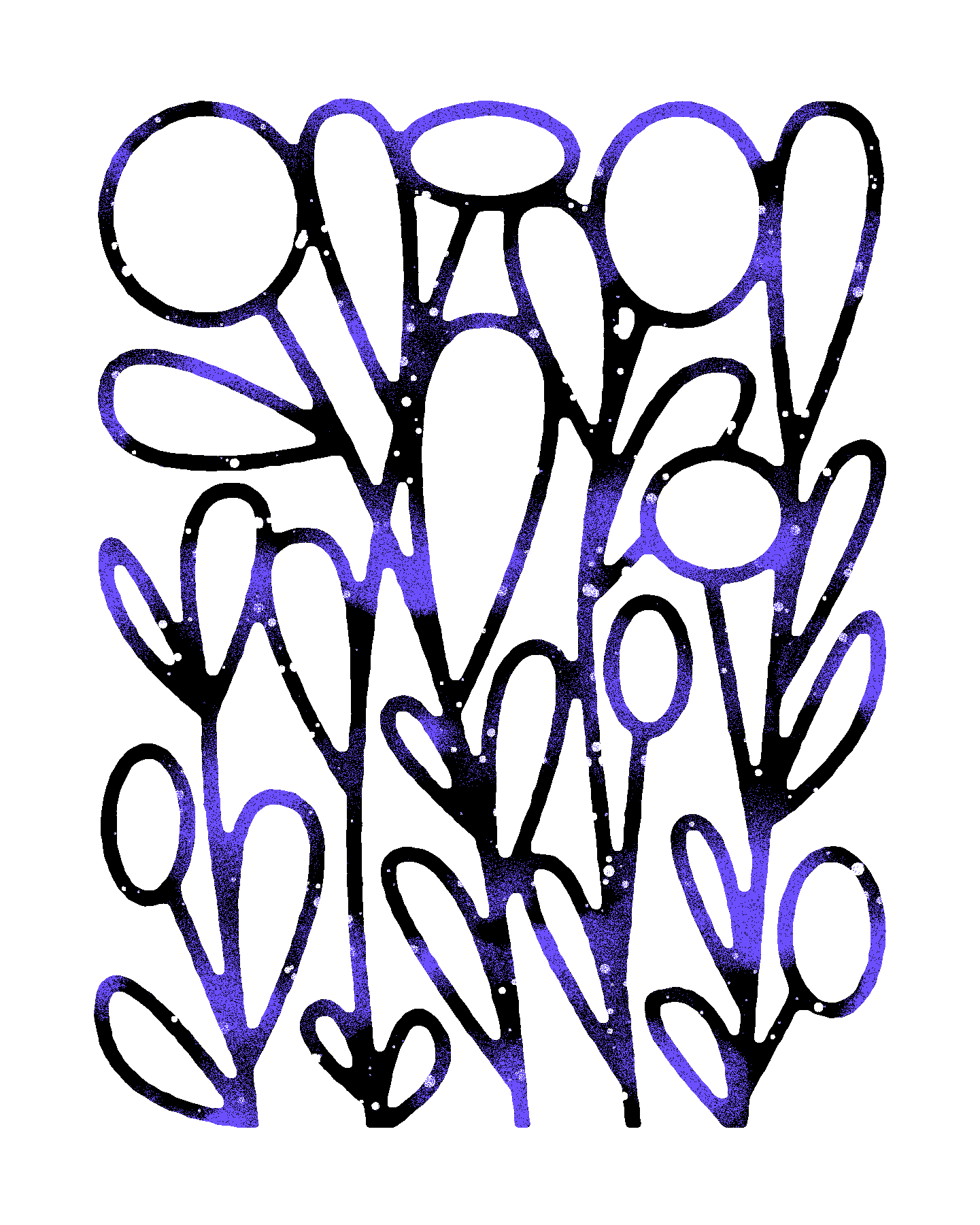 Blossom