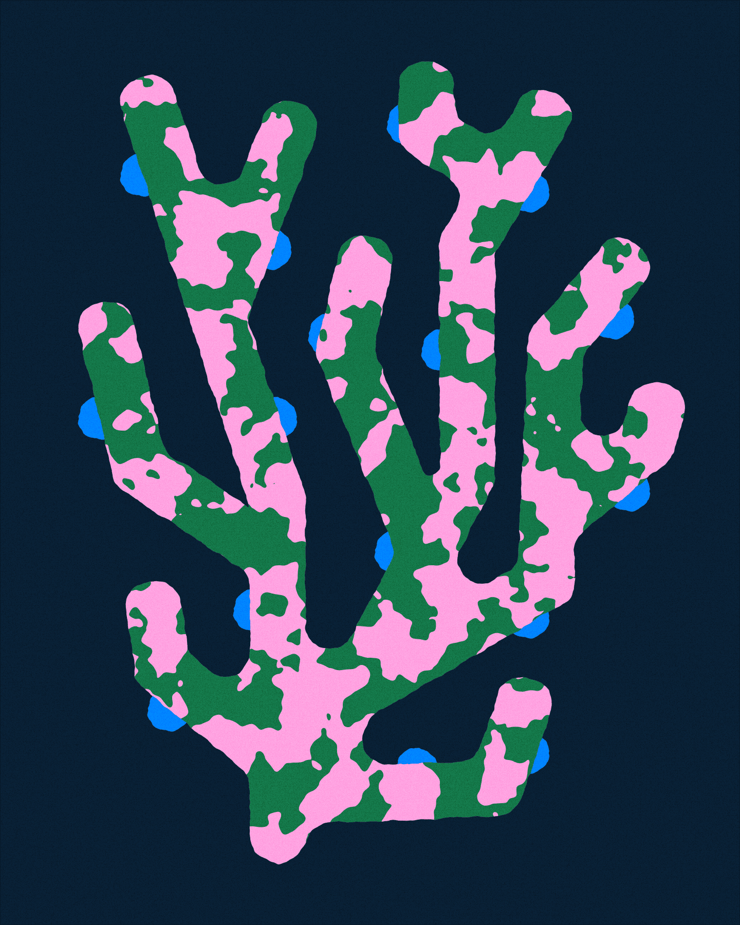 Coral