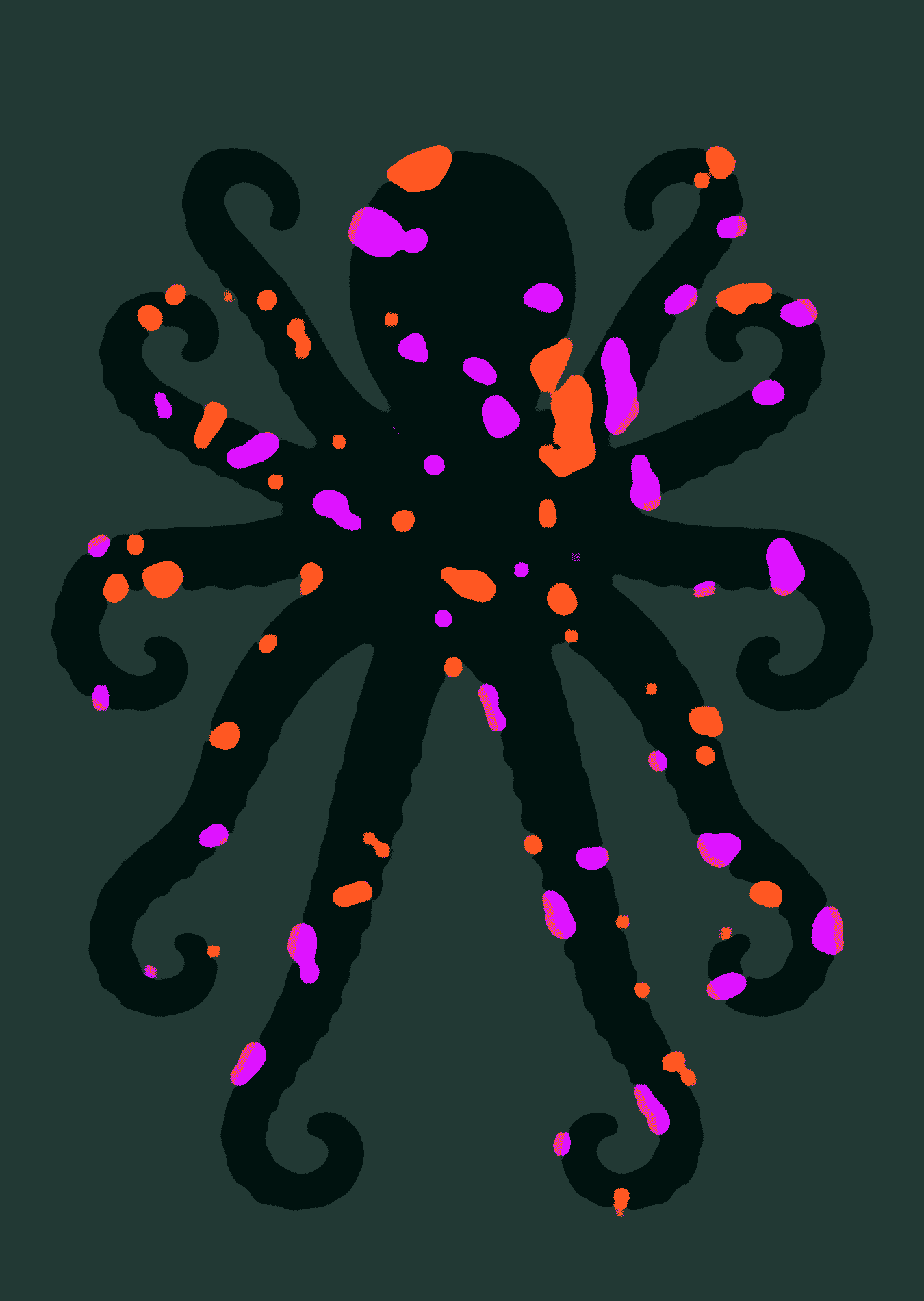 Octopus