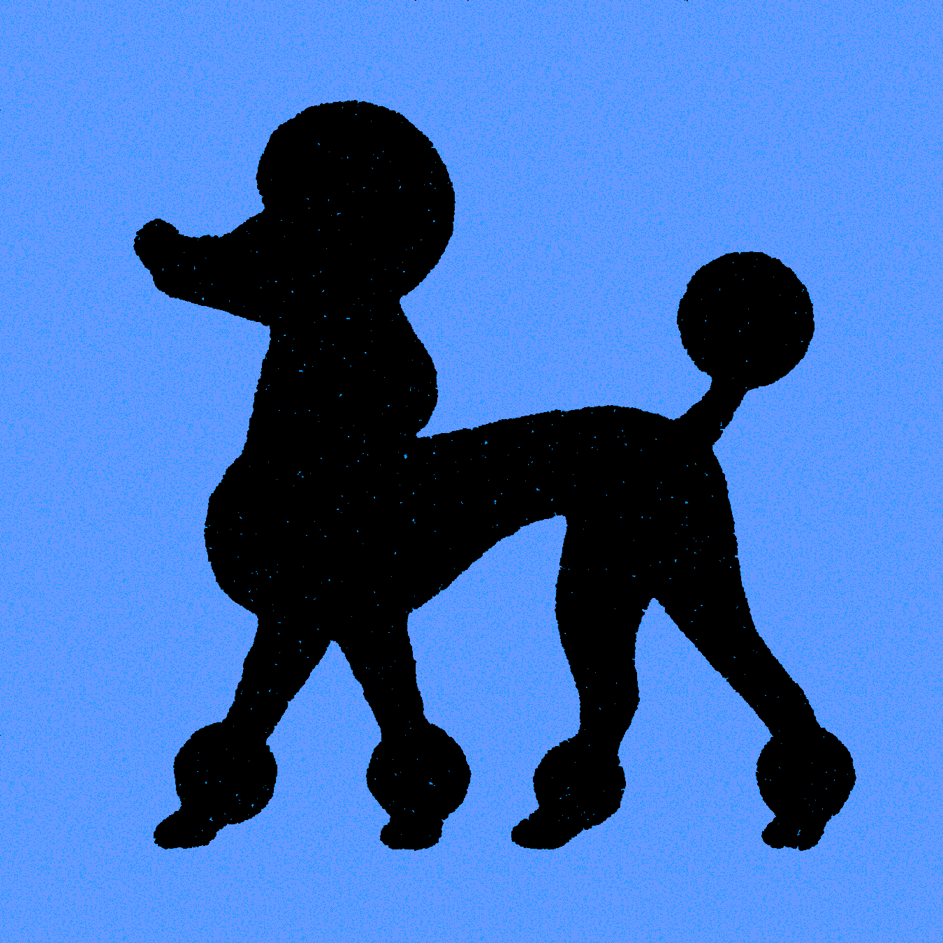 Poodle