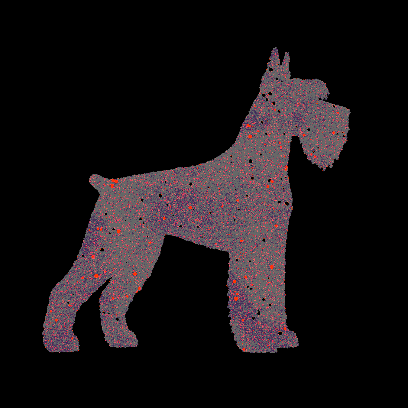 Riesenschnauzer